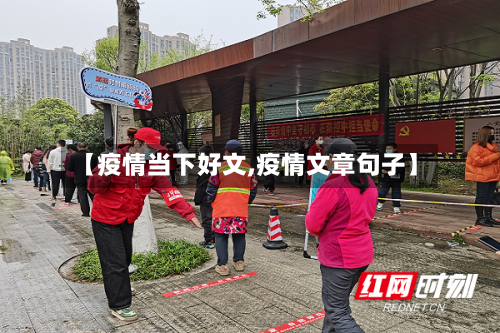 【疫情当下好文,疫情文章句子】