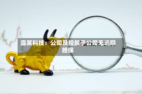 露笑科技：公司及控股子公司无逾期担保