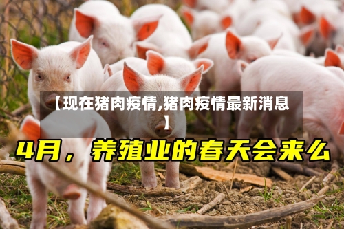 【现在猪肉疫情,猪肉疫情最新消息】