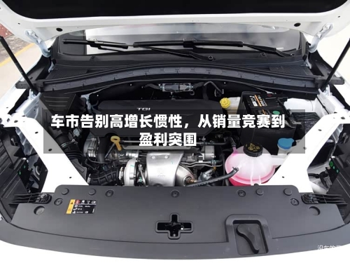 车市告别高增长惯性，从销量竞赛到盈利突围-第3张图片
