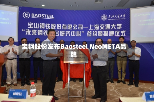 宝钢股份发布Baosteel NeoMETA品牌-第1张图片