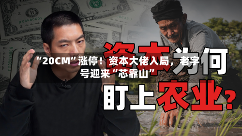 “20CM”涨停！资本大佬入局，老字号迎来“芯靠山”-第3张图片