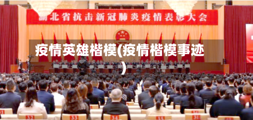 疫情英雄楷模(疫情楷模事迹)-第2张图片