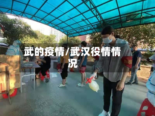 武的疫情/武汉役情情况-第2张图片