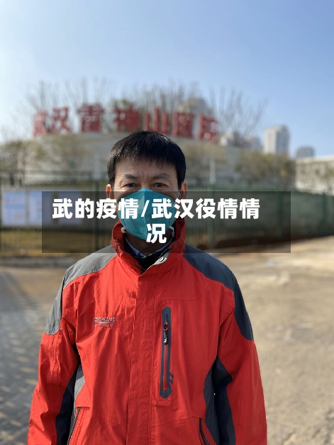 武的疫情/武汉役情情况