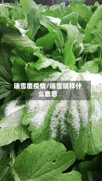 瑞雪覆疫情/瑞雪赋祥什么意思