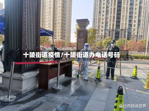 十陵街道疫情/十陵街道办电话号码-第3张图片