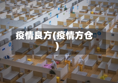 疫情良方(疫情方仓)