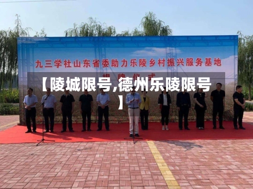 【陵城限号,德州乐陵限号】-第3张图片