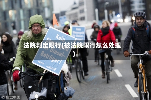 法院判定限行(被法院限行怎么处理)