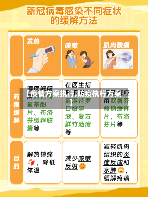 【疫情方案执行,防疫执行方案】