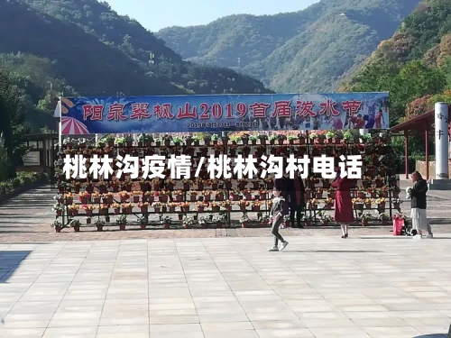 桃林沟疫情/桃林沟村电话