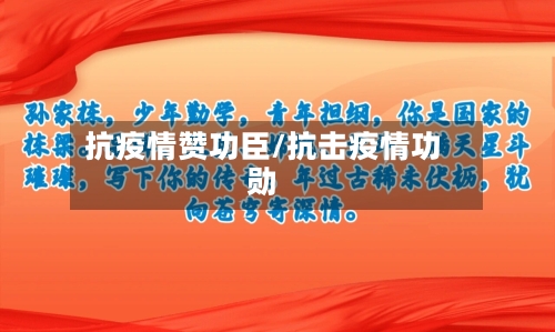 抗疫情赞功臣/抗击疫情功勋-第1张图片