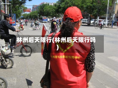 林州后天限行(林州后天限行吗)-第2张图片