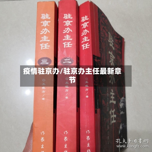 疫情驻京办/驻京办主任最新章节-第2张图片
