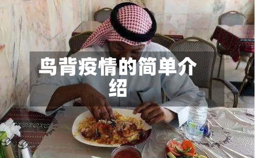 鸟背疫情的简单介绍
