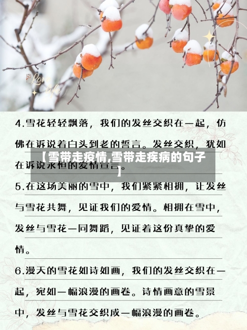 【雪带走疫情,雪带走疾病的句子】-第3张图片