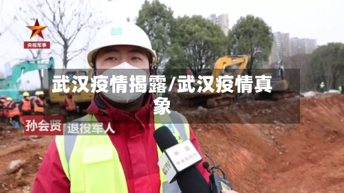 武汉疫情揭露/武汉疫情真象