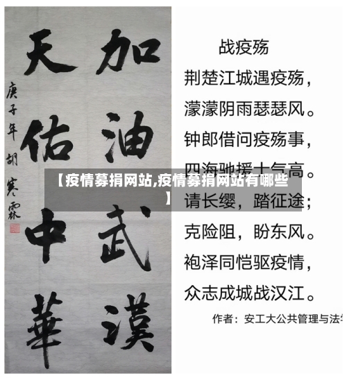 【疫情募捐网站,疫情募捐网站有哪些】