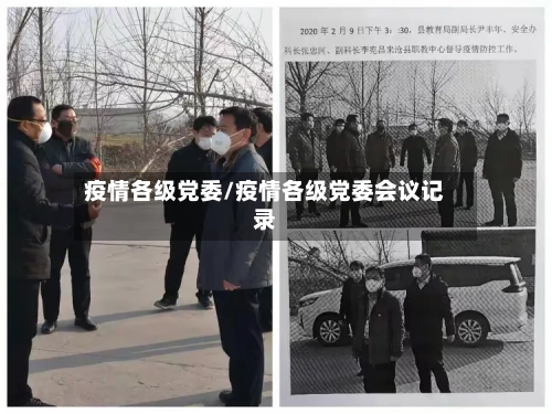 疫情各级党委/疫情各级党委会议记录