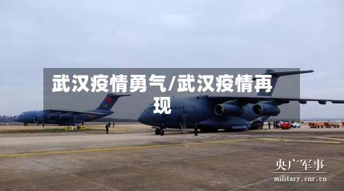 武汉疫情勇气/武汉疫情再现-第2张图片