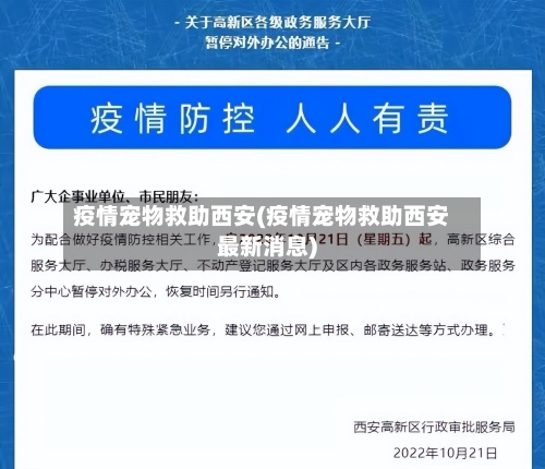疫情宠物救助西安(疫情宠物救助西安最新消息)-第2张图片