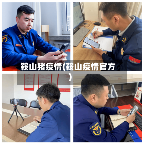 鞍山猪疫情(鞍山疫情官方)-第1张图片