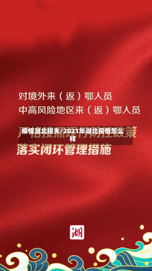 疫情湖北损失/2021年湖北疫情怎么样