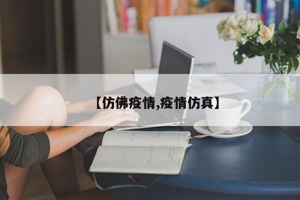 【仿佛疫情,疫情仿真】