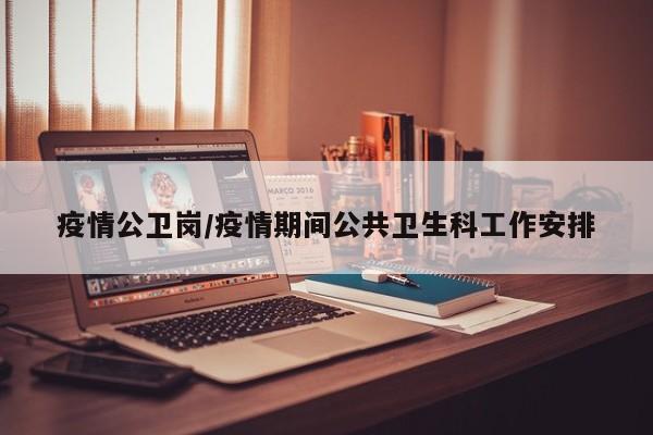 疫情公卫岗/疫情期间公共卫生科工作安排