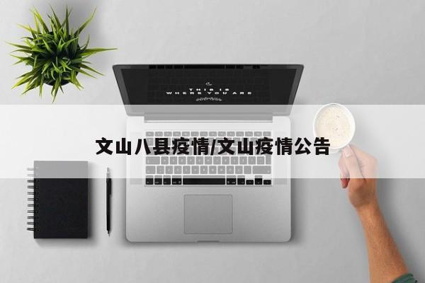 文山八县疫情/文山疫情公告